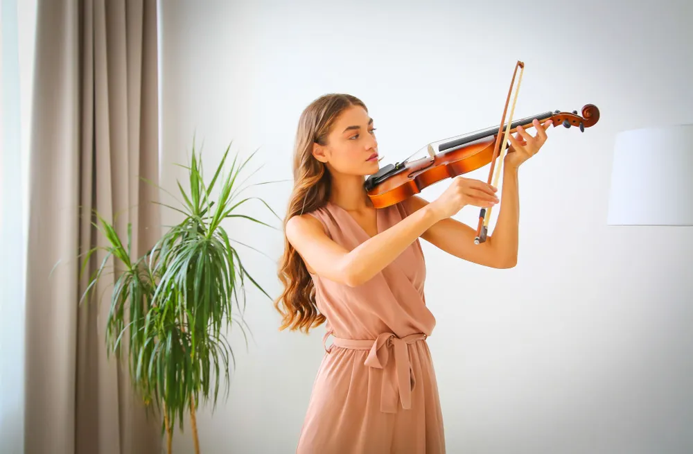 Акустическая скрипка для начинающих
