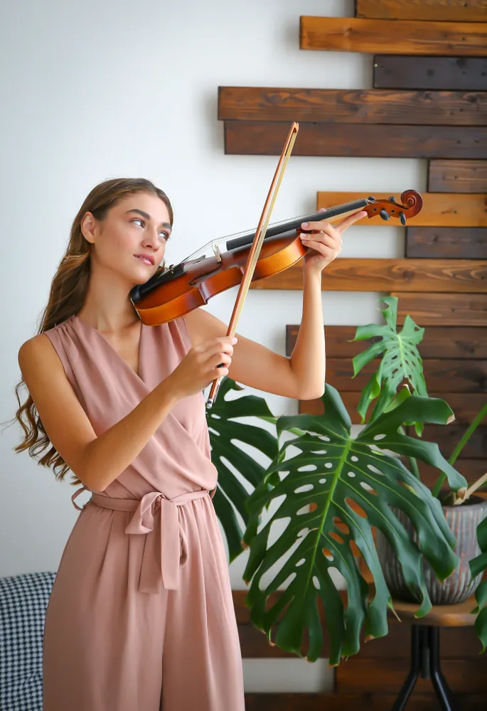 Акустическая скрипка для начинающих