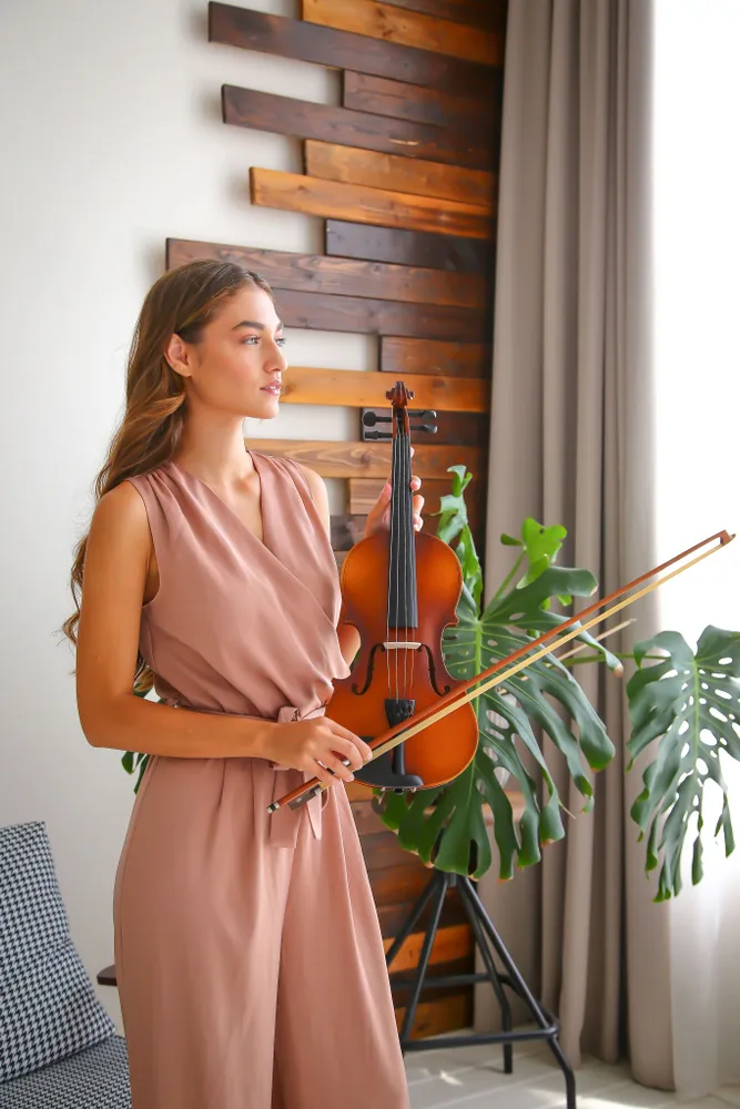 Акустическая скрипка для начинающих